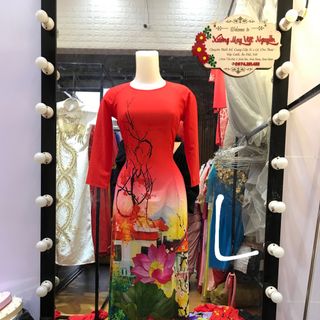 Áo dài 3d