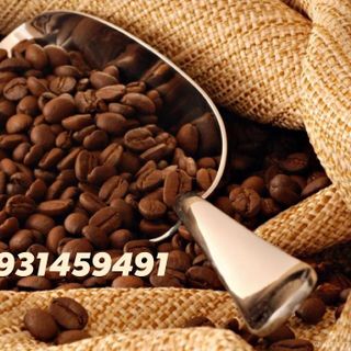 Cafe Arabica hạt mộc rang nguyên chất
