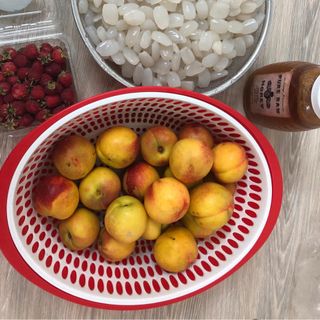 HẠT ĐÁC TƯƠI - ĐÁC RIM