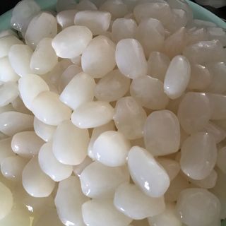 HẠT ĐÁC TƯƠI - ĐÁC RIM