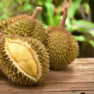 SẦU RIÊNG MON THON- Tiền Giang