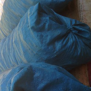 Sacha Inchi Hạt Sachi