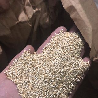 HẠT DIÊM MẠCH QUINOA BAO 25KG