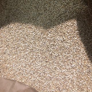 HẠT DIÊM MẠCH QUINOA BAO 25KG