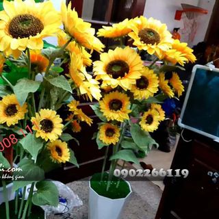 Chậu cây hoa hướng dương giả