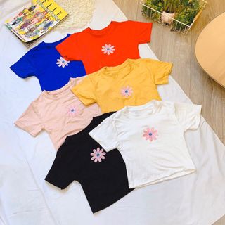 Áo thun cloptop lụa cao cấp