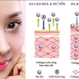 COLLAGEN tái tạo da