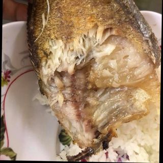 Cá sặc bổi 1 nắng An Giang