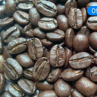 Phân phối sỉ cafe arabica hạt rang mộc giá sỉ