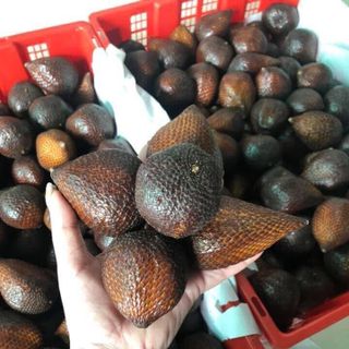 MÂY INDONESIA