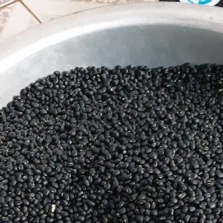 Đậu đen xanh lòng