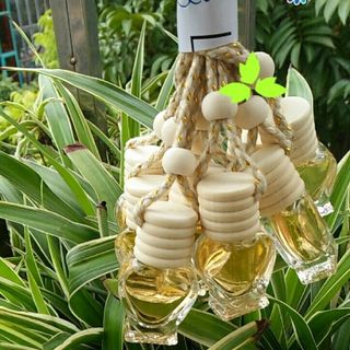 Tinh dầu bạc hà treo xe ô tô treo phòng