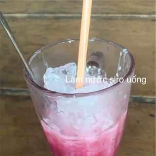 Cây Siro giống sỉ 30k