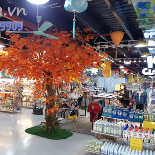 Cây phong lá đỏ