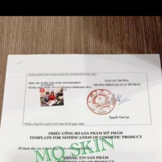 Thay da nhân sâm MQ