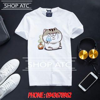 Áo thun mèo ami bụng bự