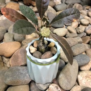 Sản phẩm mới cả nhà ủng hộ nhe