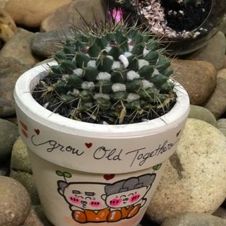 Sản phẩm mới cả nhà ủng hộ nhe