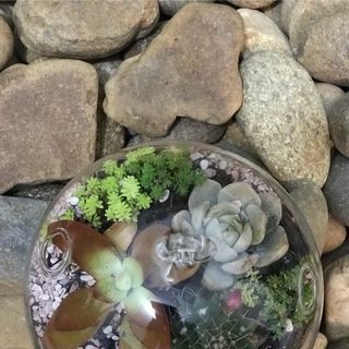 Sản phẩm mới cả nhà ủng hộ nhe