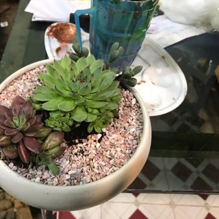 Sản phẩm mới cả nhà ủng hộ nhe