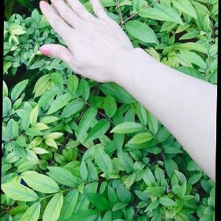 Dưỡng trắng da toàn thân