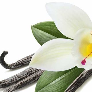 Bột hương vani thực phẩm 99027