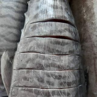CÁ THU LỚN tươi vừa lên bờ