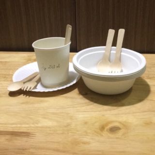Nĩa gỗ 160mm dùng 1 lần