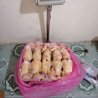 Gà nguyên con Hàn Quốc