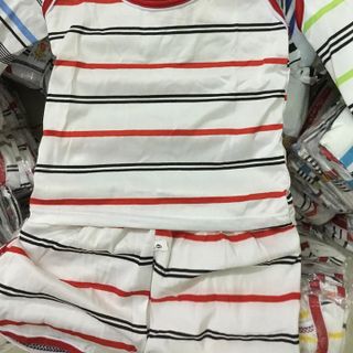 áo thun cotton 2 chiều mát mẽ dành cho bé trai