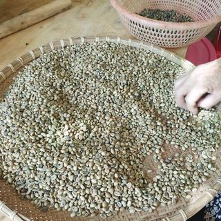 Nguyên Coffee - Cà phê nguyên chất - Robusta