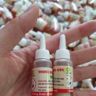 Thuốc diệt kiến gián