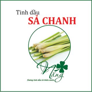 Tinh Dầu Sả Chanh 5ml - Xuất xứ Ấn Độ giá sỉ