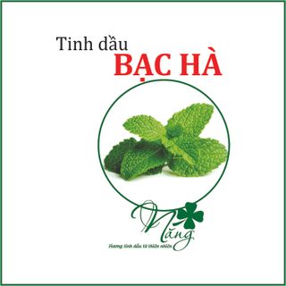 Tinh Dầu Bạc Hà 20ml Xuất xứ Ấn Độ giá sỉ