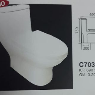 Bồn Cầu Liền Khối C703