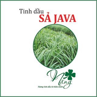 Sĩ Lít Tinh dầu Sả Java Xuất xứ Việt Nam giá sỉ