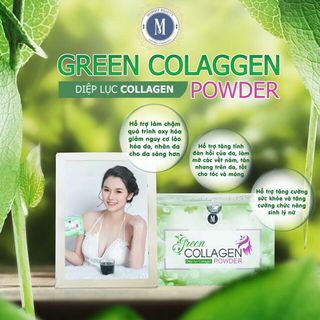 Diệp lục collagen giá sỉ