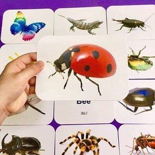 thẻ học song ngữ 20 chủ đề
