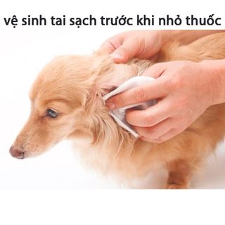 Combo 10 chai thuốc nhỏ tai Bio Gentazol 10ml chuyên trị viêm tai chó mèo- 79204