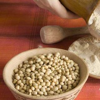 GIÁ HỦY DIỆT BỘT ĐẬU NÀNH Hàng Handmade