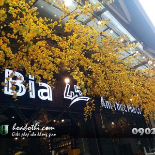 Cây hoa mai giả tại Hà Đông