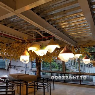 Cây hoa mai giả tại Hà Đông