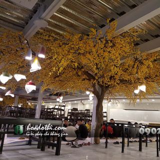 Cây hoa mai giả tại Hà Đông