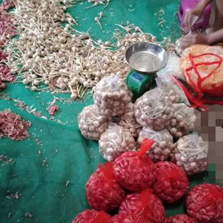Hành Tỏi Lý Sơn Gốc