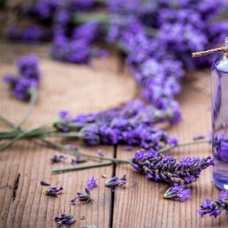 GIÁ HỦY DIỆT Mặt nạ Lavender Collagen Hàng Handmade