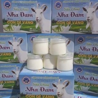 Sữa Chua Nha Đam giá sỉ