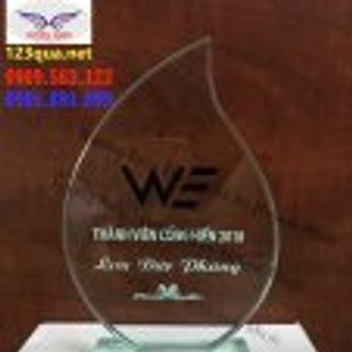 Kỷ niệm chương pha lê in logonhận làm biểu trưng in logo hình ảnh tại tphcm