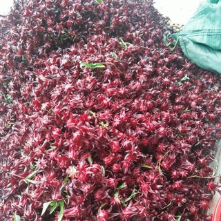 Nước cốt hoa atiso đỏ nguyên chất 100