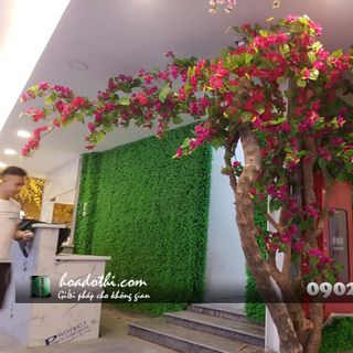 Cây hoa giấy giả tại Đà Nẵng