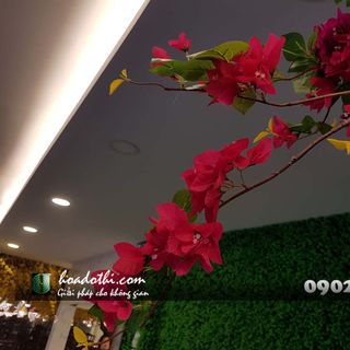 Cây hoa giấy giả tại Đà Nẵng